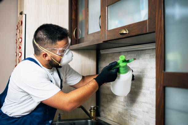 Best Pest Control Treatment  in Parklawn, CA