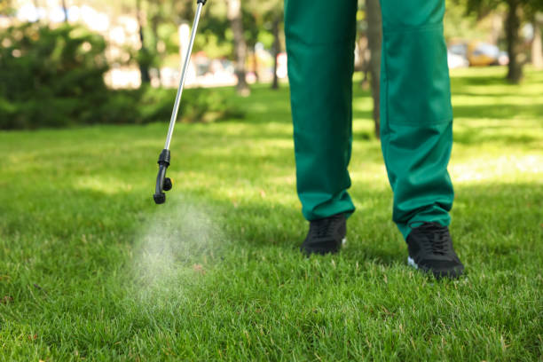 Best Pest Prevention Services  in Parklawn, CA