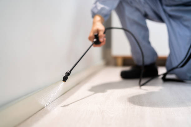 Best Exterminator Services  in Parklawn, CA