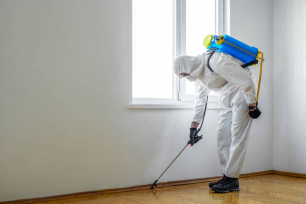Best Cockroach Control Services  in Parklawn, CA
