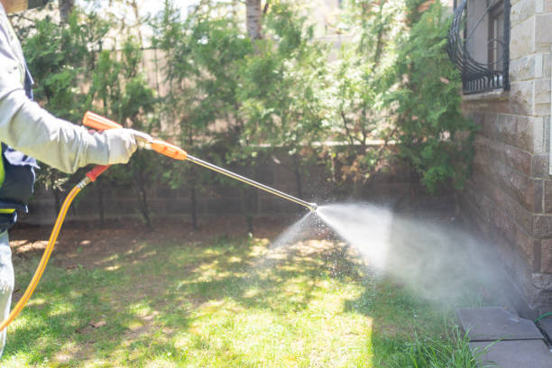 Professional Pest Control in Parklawn, CA