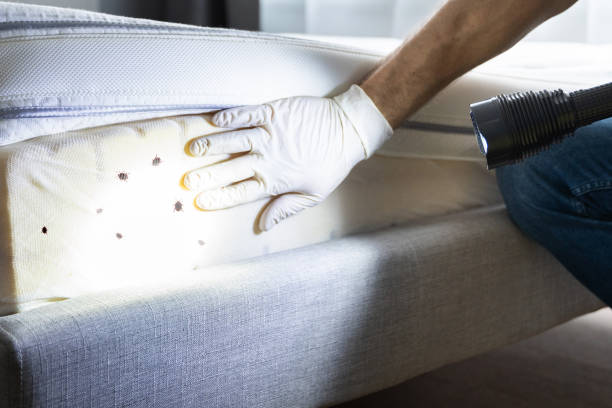  Parklawn, CA Pest Control Pros