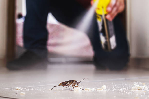 Best Spider Control Near Me  in Parklawn, CA