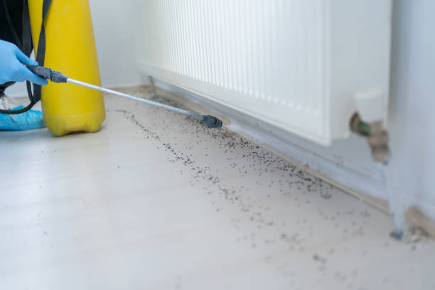 Best Best Pest Control Companies  in Parklawn, CA