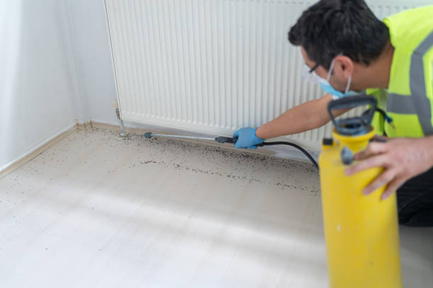 Flea Control Services in Parklawn, CA