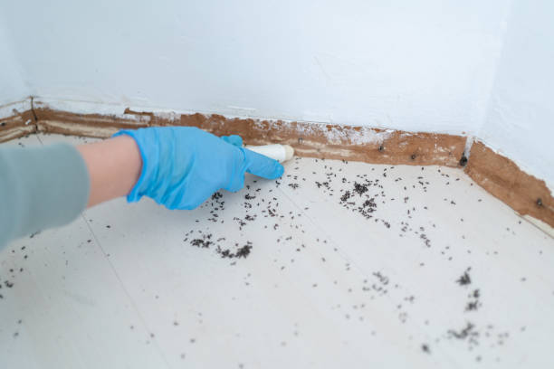 Best Residential Pest Control  in Parklawn, CA